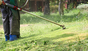 Commercial lawn care maintenance Central Florida