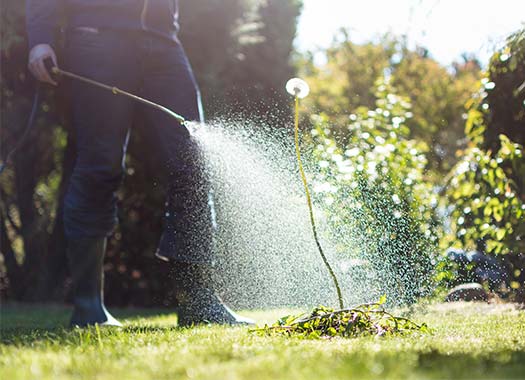 Landscape Weed Control Services
