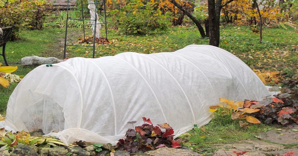 Tips on Plant Protection For Winter in Florida ASI Blog