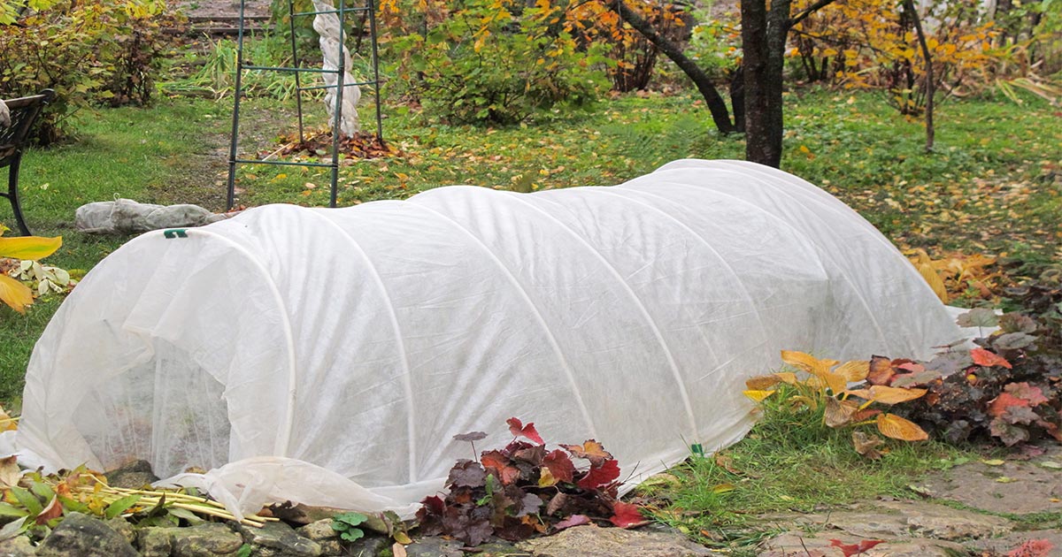 Plant Protection For Winter