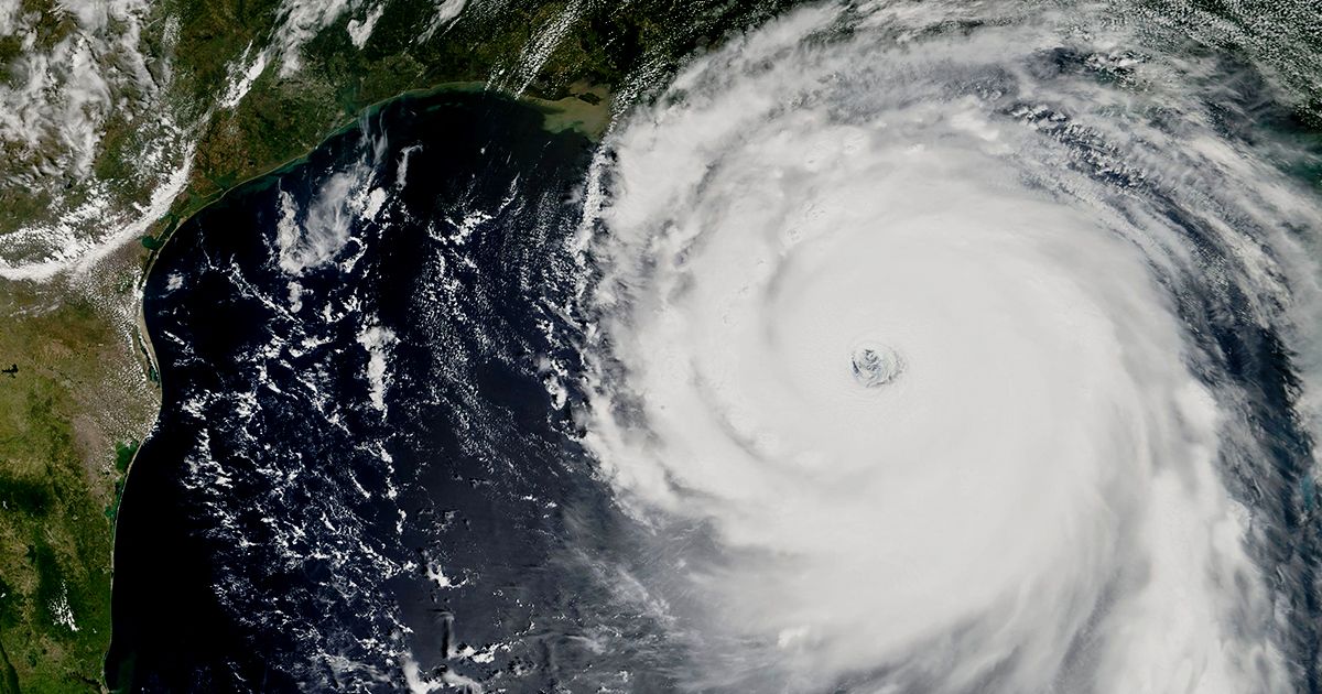 Preparing landscape for hurricanes Florida
