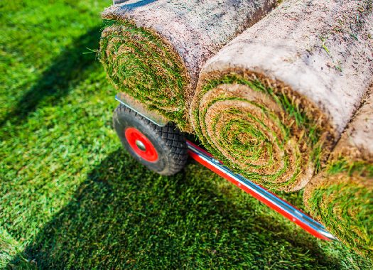 Turf Treatment Horticulture Services